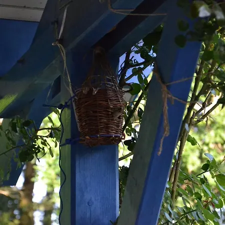 Cafe Couette Du Seignanx Bed & Breakfast *
