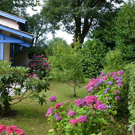 Cafe Couette Du Seignanx Saint-Martin-de-Seignanx